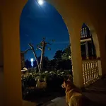 Matan